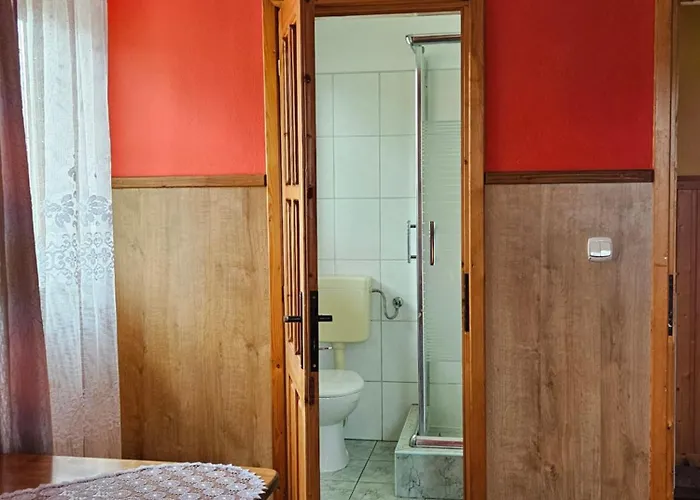 בית אירוח U Mlynarczykow *