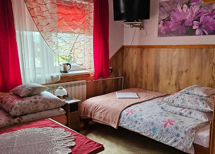 U Mlynarczykow * Debno (Nowy Targ)